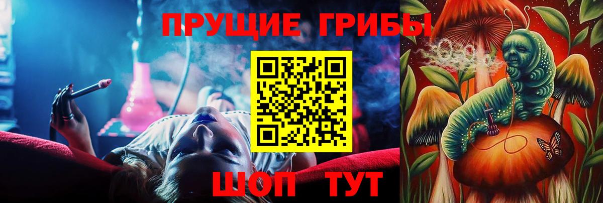 Бахчисарай  Галлюциногенные грибы Psilocybine cubensis  Вход с VPN 